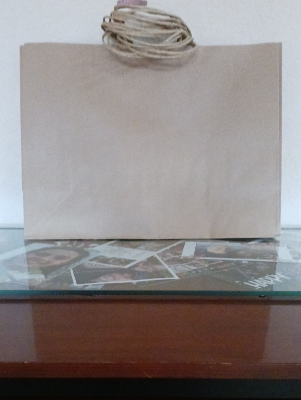 Unk Neutral Beige Paper Gift Bag with Twisted Rope Handles